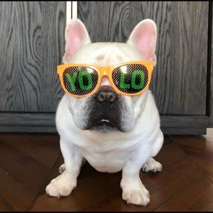 Meet your Posher, Kacy